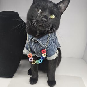 Colorful Circle Pendant Necklace